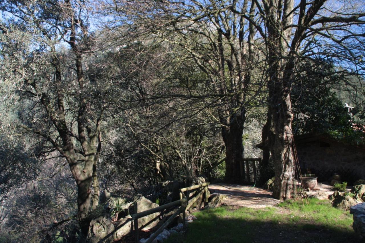 Domocantabria, Cupula Experiencias Sobremazas Exterior foto